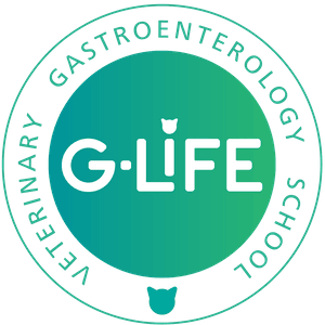 G-LIFE