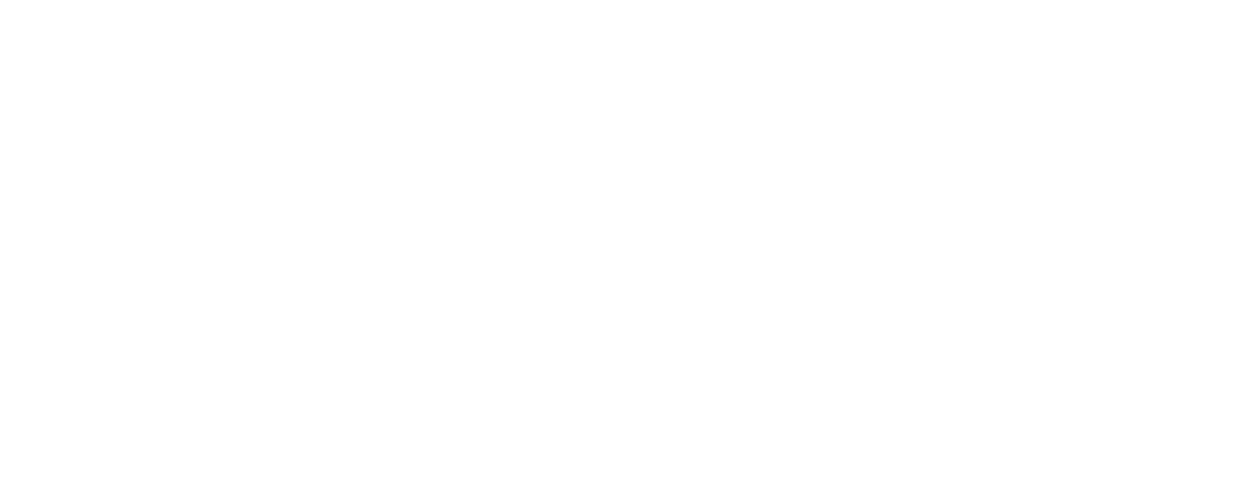  ХУДОЖНИЦА Лидия&nbsp;Тимошенко 