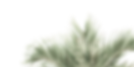 Виза во Францию для Россиян