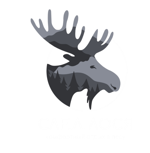 Ясенево - В Битцевском лесу заметили следы кабана, лося и других диких зверей