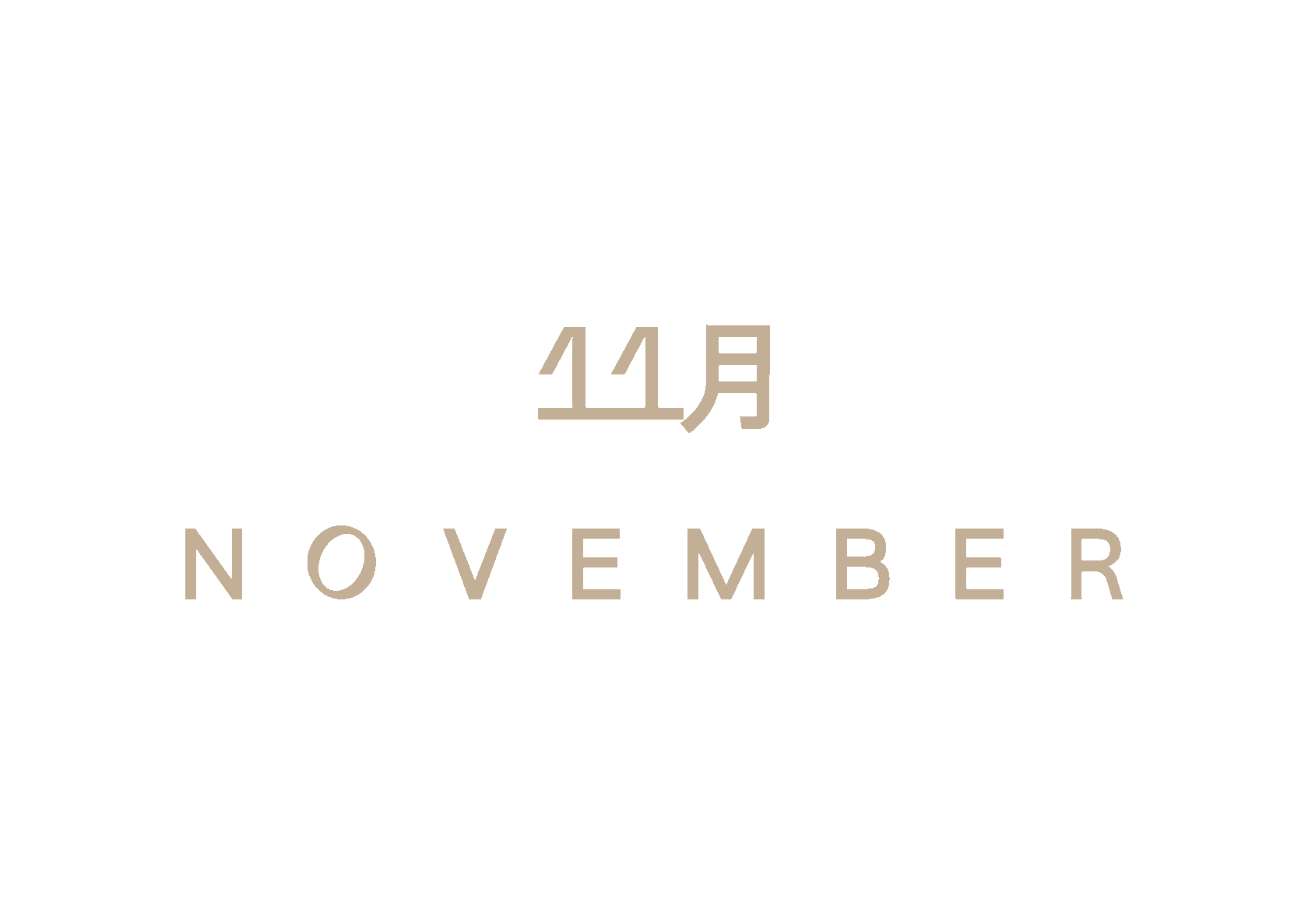 November brasserie