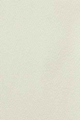 804 WHITE