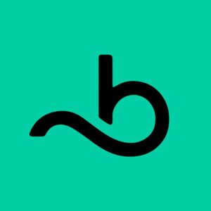 website icon