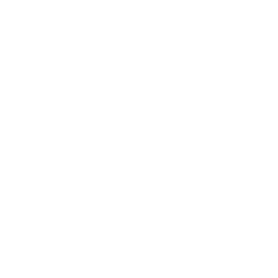 website icon