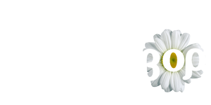 Наш Двор