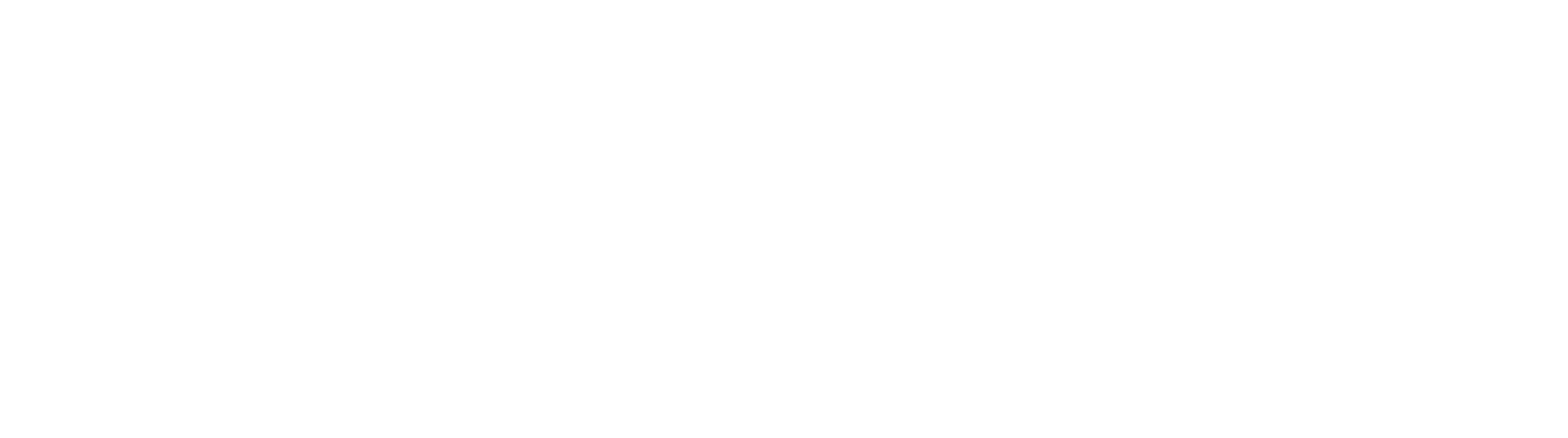 Mindset S.r.l.