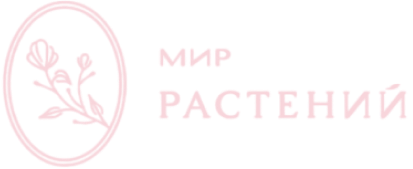 Мир растений
