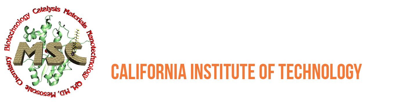  Dr. Boris Merinov 