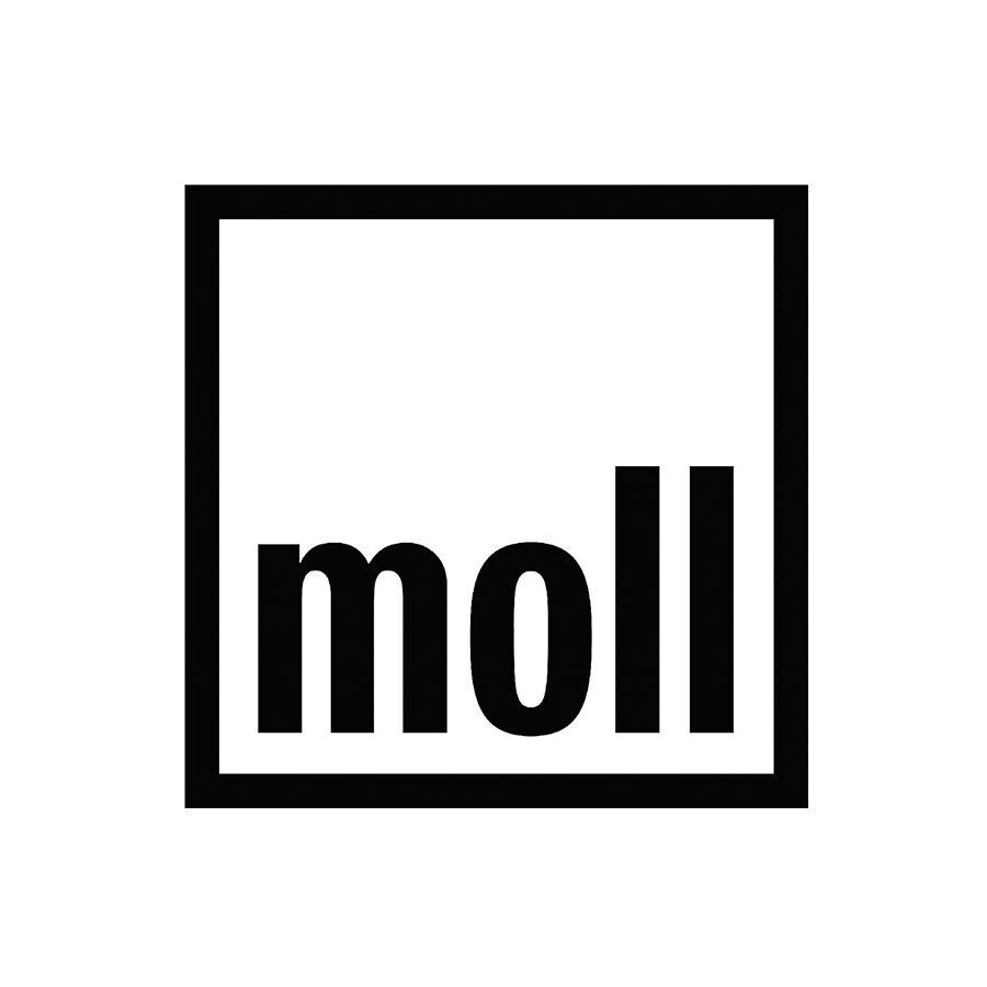  Официальный представитель немецкой мебельной фабрики moll в России 
