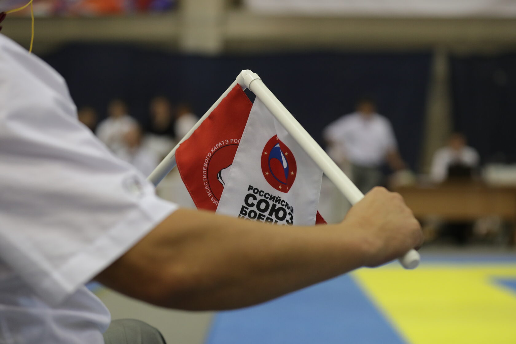 Перечень межрегиональных и всероссийских соревнований, планируемых ООСО ...