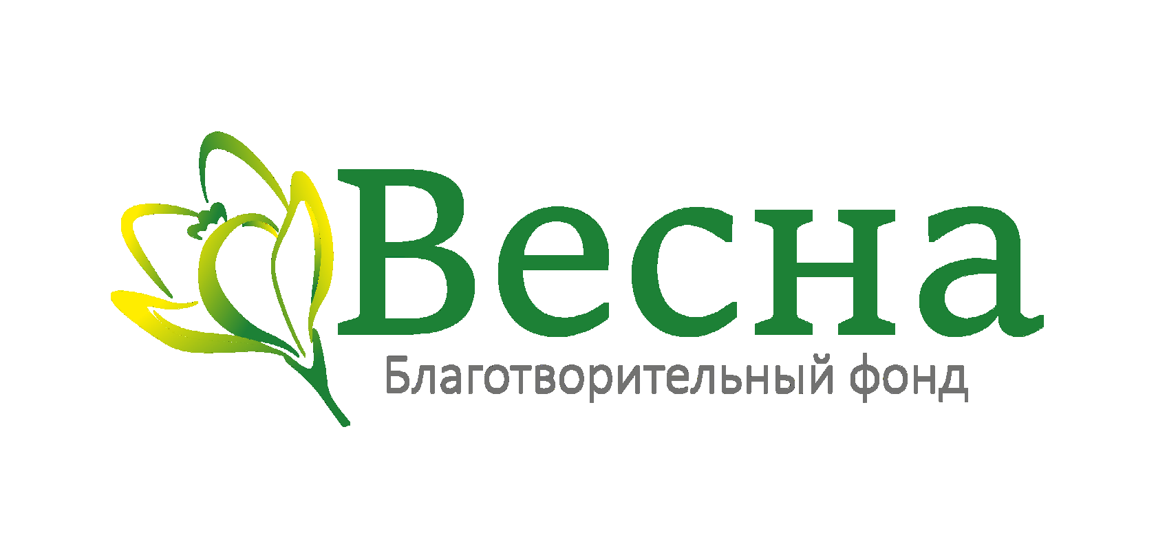 Благотворительный фонд "ВЕСНА"