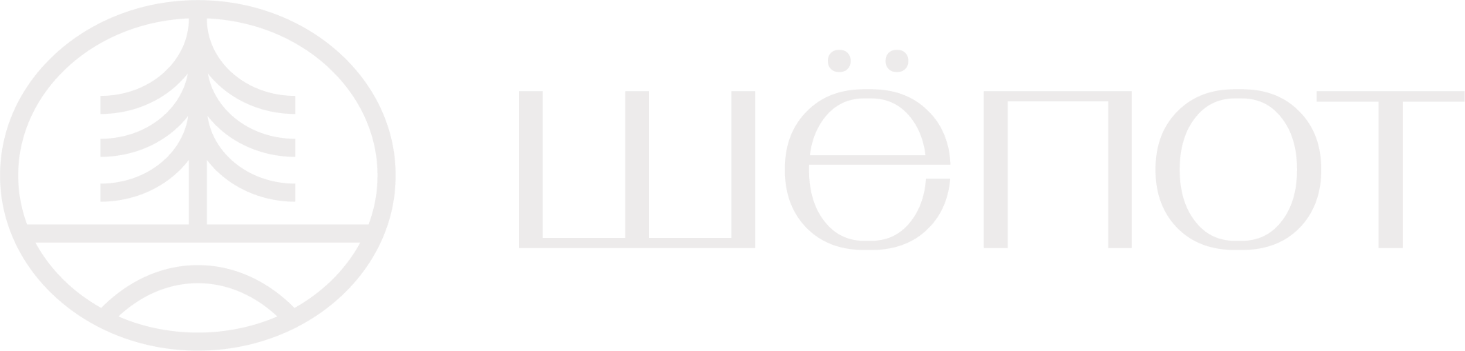 Company