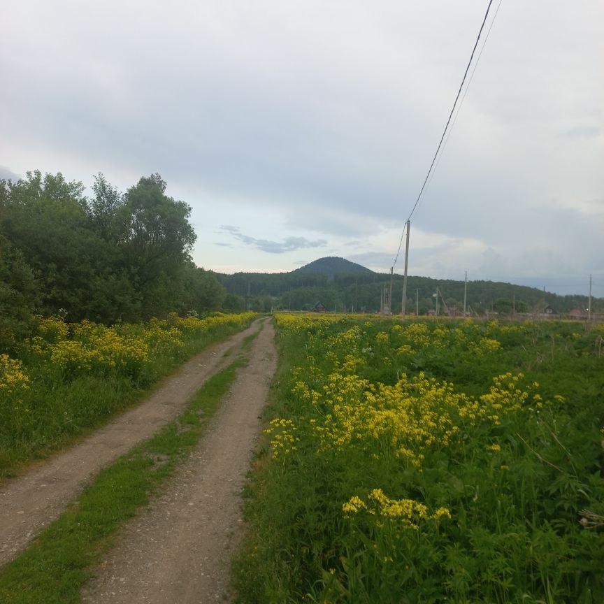 Дорога в природном окружении