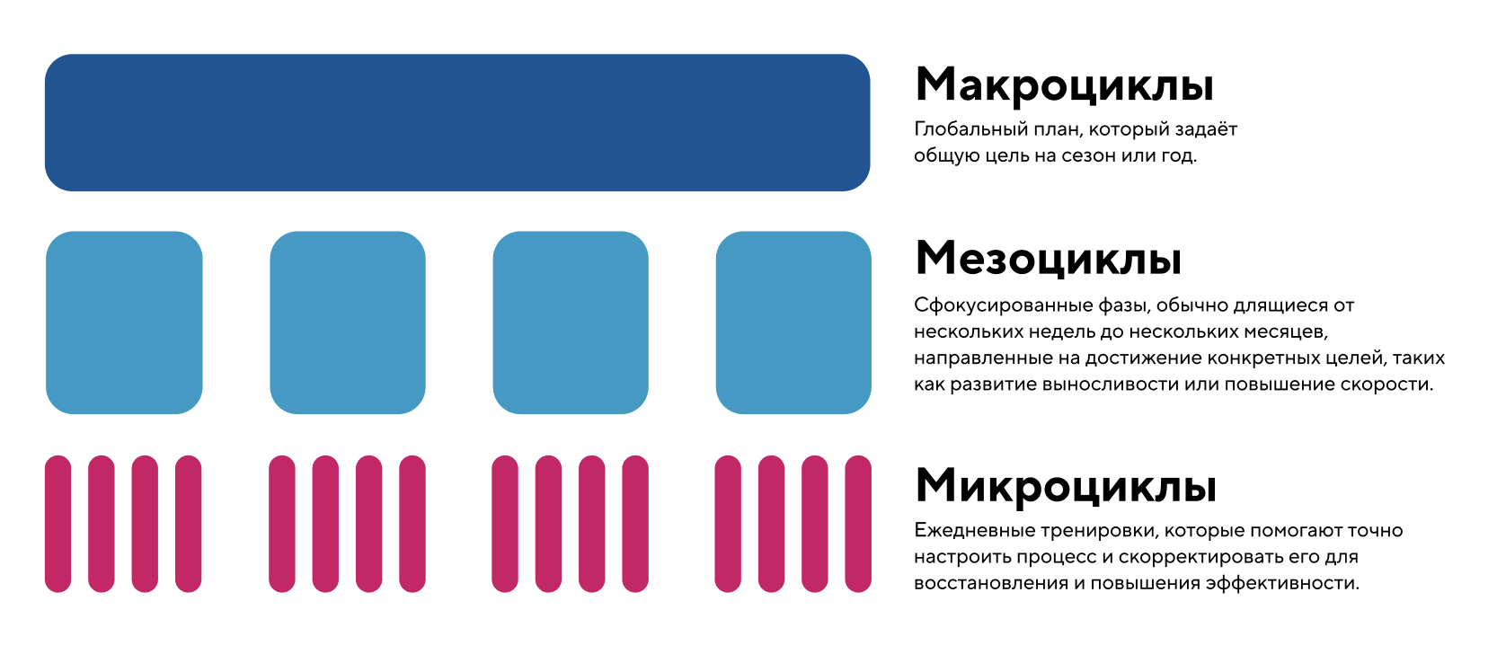 Инфографика с видами периодизации: макроцикл, мезоцикл и микроцикл