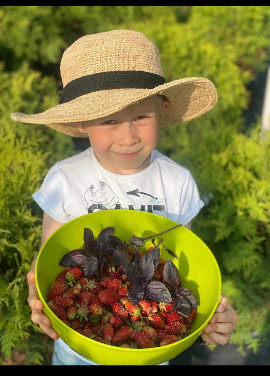 КЛУБНИКА ПРИЕХАЛА