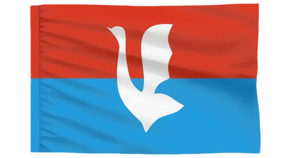 Управляющая организация