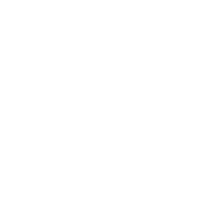 website icon