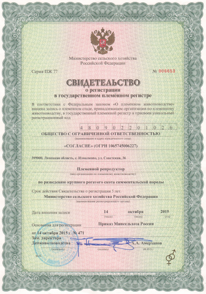 Животноводство в ООО «Согласие»