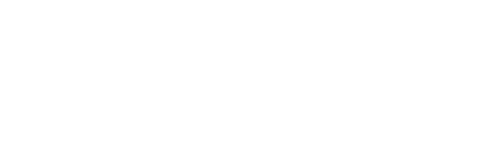 Институт молодёжной политики