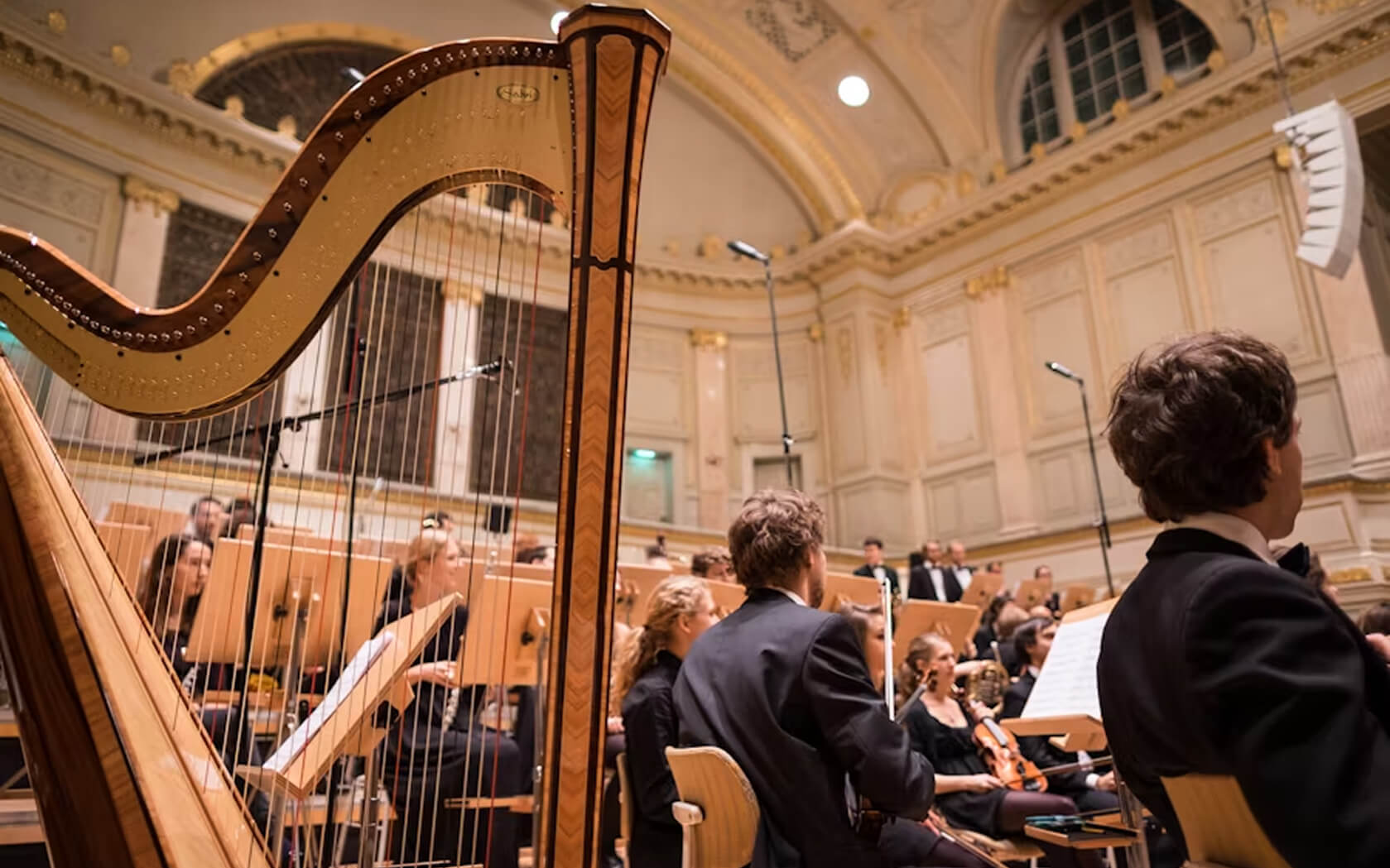 Фото Art Music Orchestra