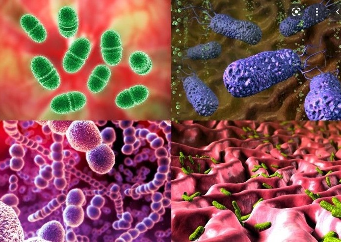 Bacteria of the genera Staphylococcus and Corynebacterium - Why is there an unpleasant odor? - Fresh sweat is a practically odorless liquid. Our sweat is 99% water and 1% potassium and magnesium salts. However, when it gets on the skin and reacts with bacteria, its odor intensifies and becomes unpleasant. Bad smell occurs only when bacteria metabolize (i.e. break down) certain components of sweat, such as lipids and proteins. The underarm area creates ideal conditions for the growth of skin bacteria thanks to the humid environment, the higher pH level and the optimal supply of bacteria with nutrients from the sweat and sebaceous glands.