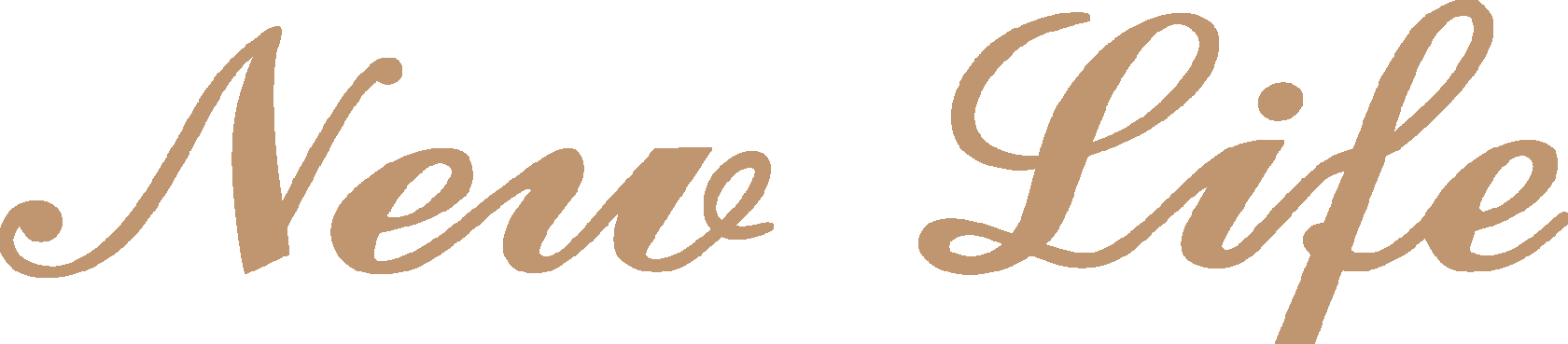 Company