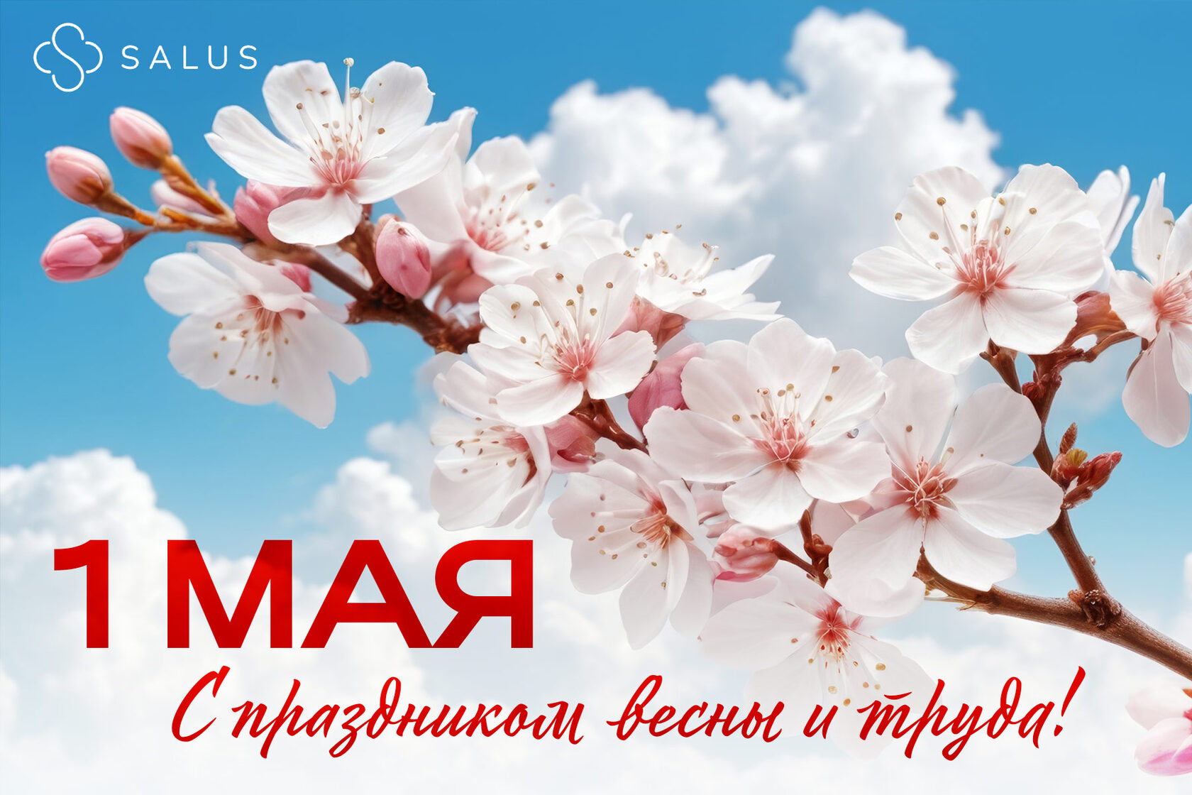 Salus Салюс клиника в тюмени тюмень индивидуальная медицина гениколог терапевт семейная медицина медцентр майские праздники первомай день труда день победы