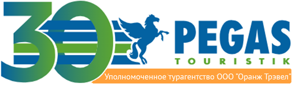 Company name