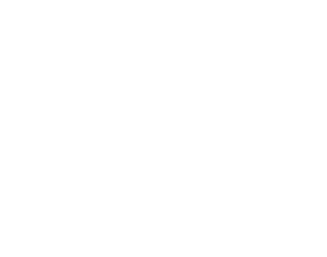 S V E T A ⠀⠀M I N A S A R Y A N