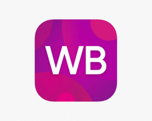 website icon