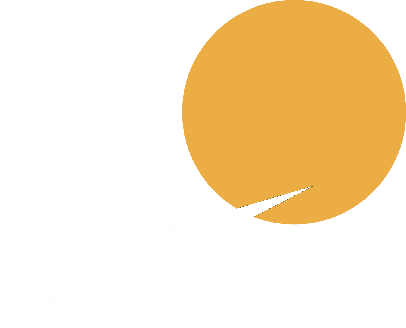 ЖК «Новая Самара» фотогалерея микрорайона