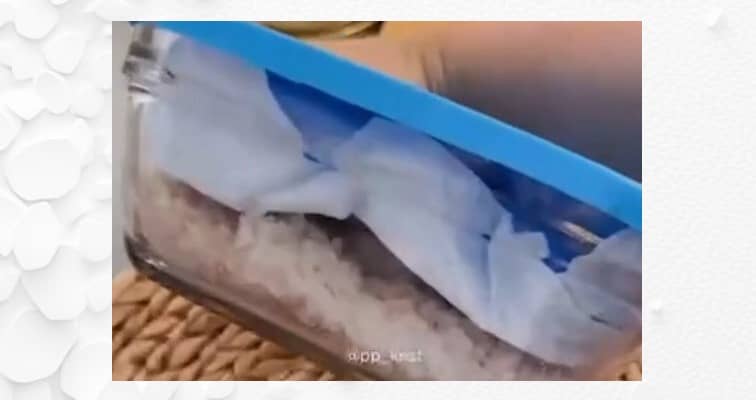 Засолка красной рыбы с копчёной паприкой: шаг 5