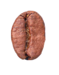 зерна