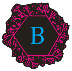 website icon