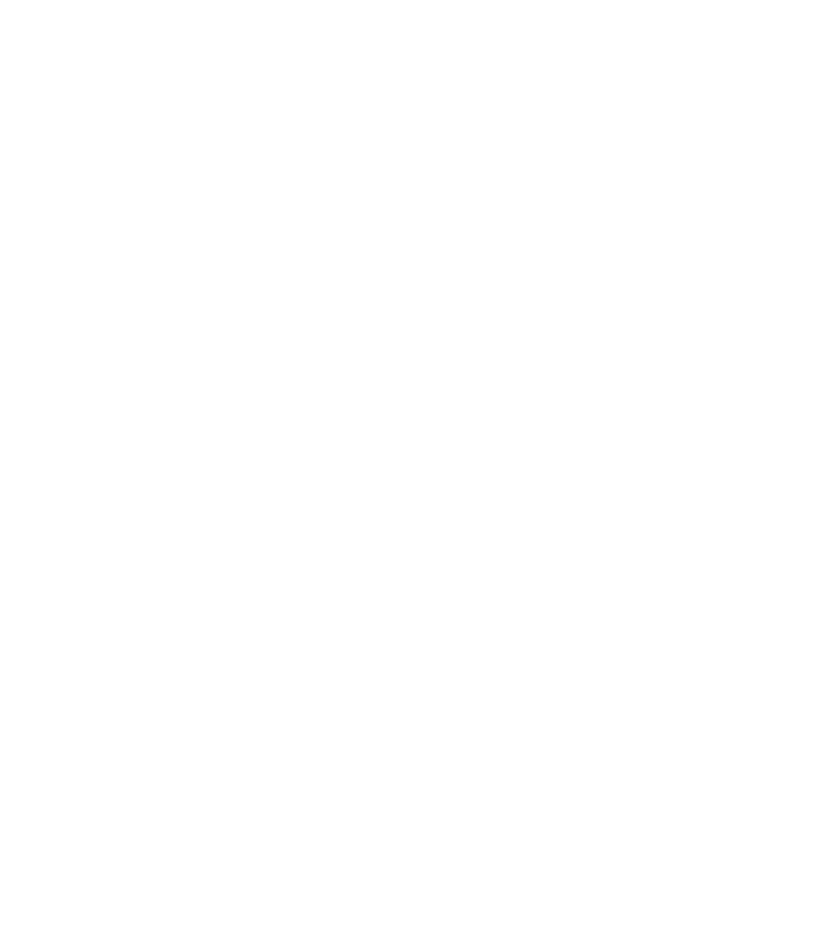 ФСАО