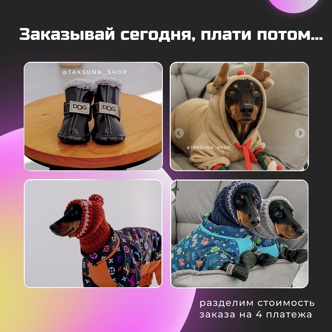 Одежда для таксы - купить в Taksuna Shop
