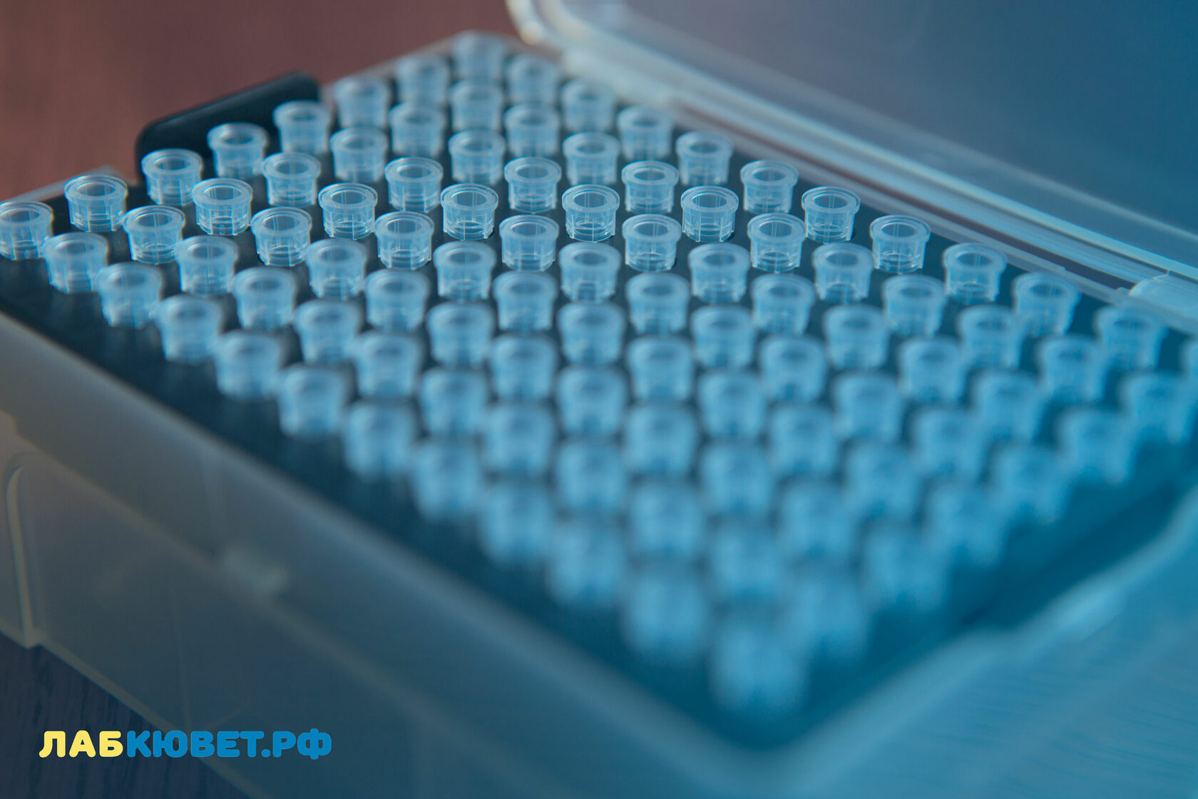 Наконечники bioclean с фильтром 10 мкл. DNA Free