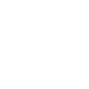 website icon