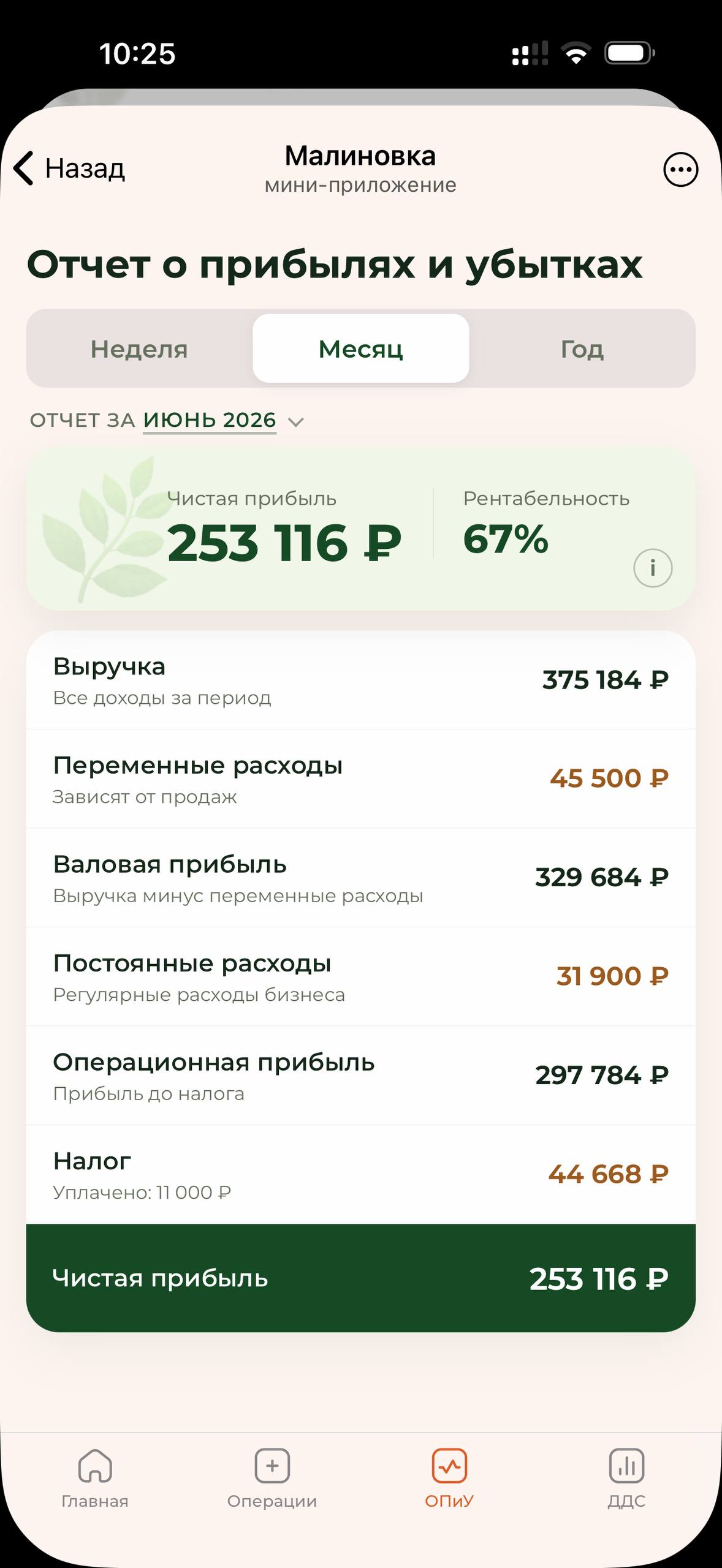Финансовый отчёт Малиновки
