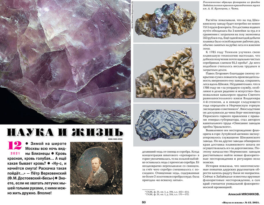 Фотографии экспонатов из фондов краеведческого музей в научно-популярном журнале