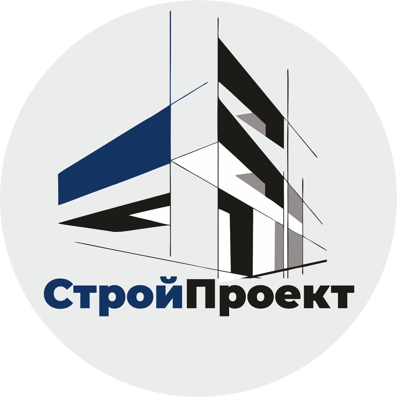логотип векторного чертежа дома с надписью строй проект черно-синего цвета