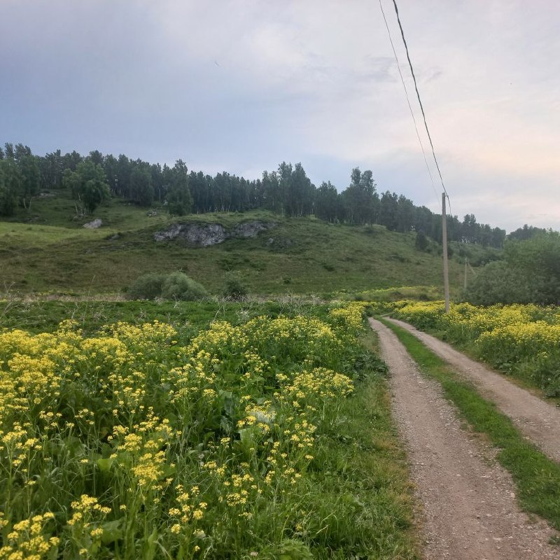 Дорога и холмы в районе Нижнекаянчи