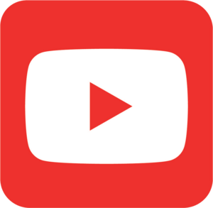 website icon