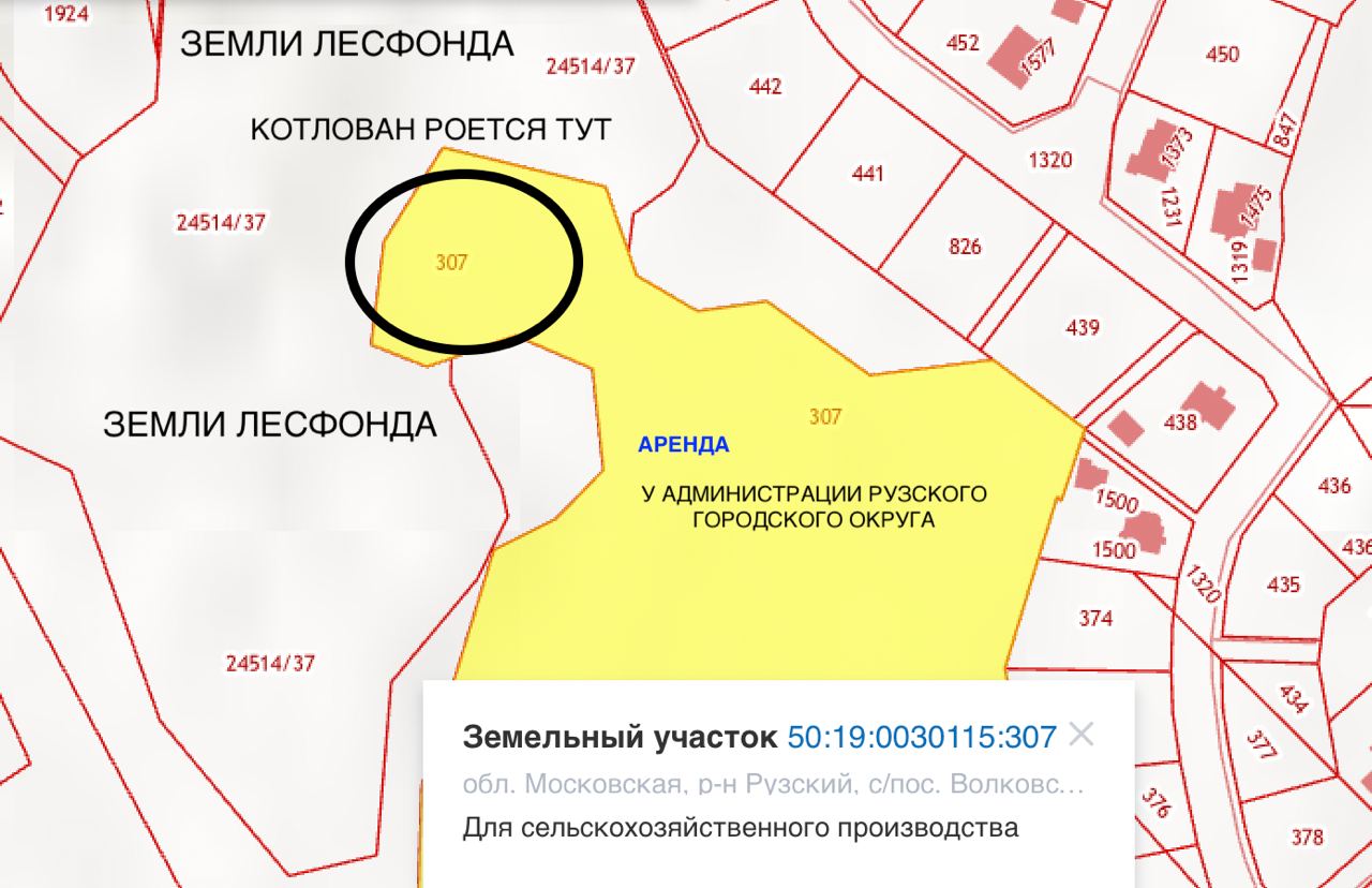 Проблемы КП Emerald Village - криминальная хроника или как купить дом в  Эмеральд Вилладж у мошенника Юрия Королева