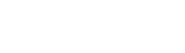ЭЛФИС-консалтинг