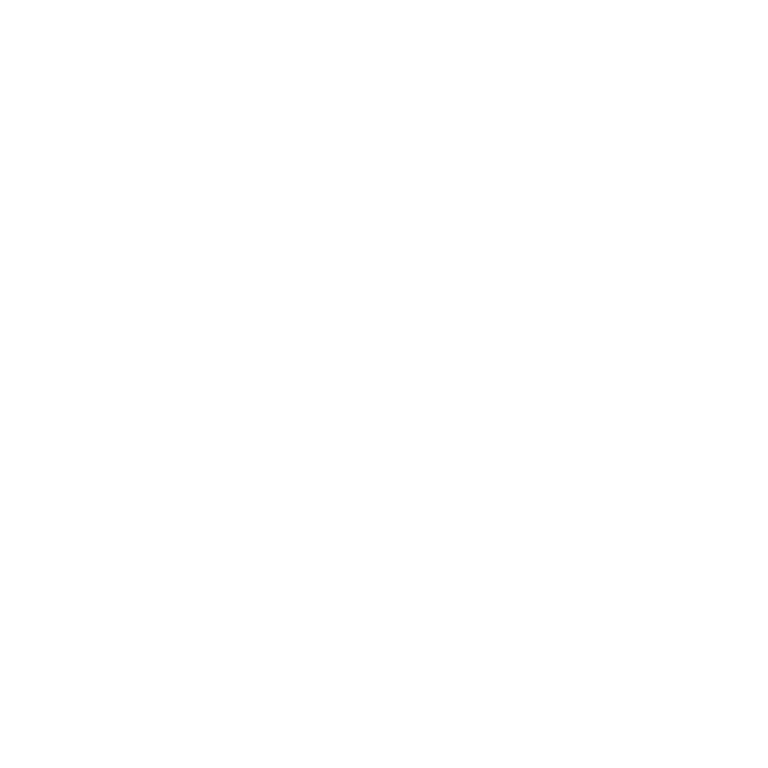 Digital Camp