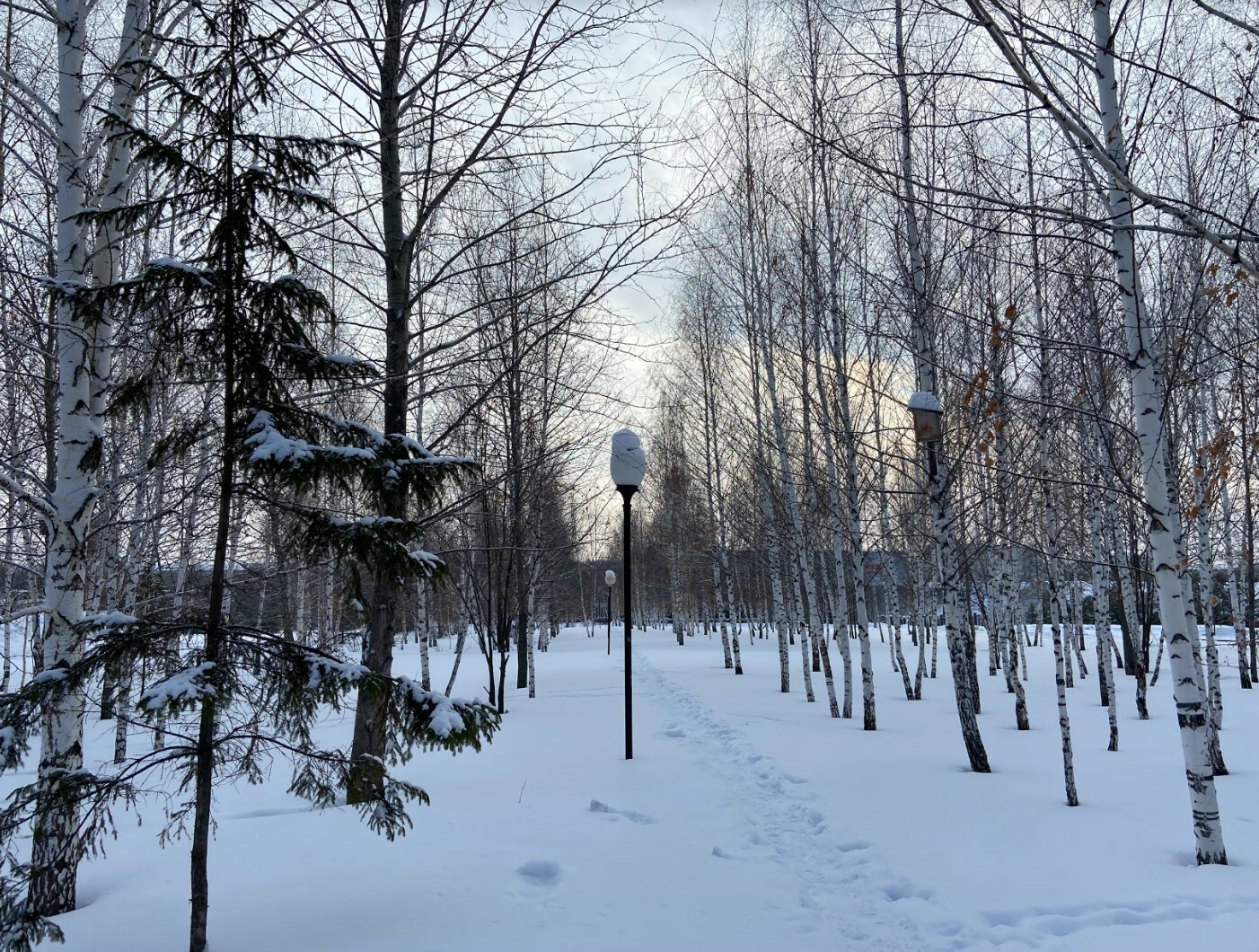 Заинск 2022