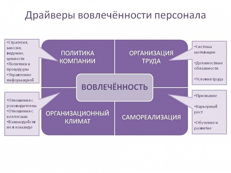оценка сотрудника, управление персоналом организации, вовлеченность сотрудников, система управления персоналом, благополучие сотрудников, оценка профессиональных компетенций, оценка деятельности сотрудников, вовлеченный сотрудник