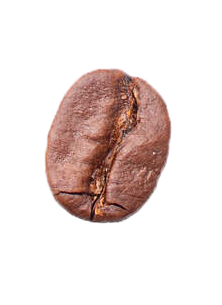 кофейное зерно