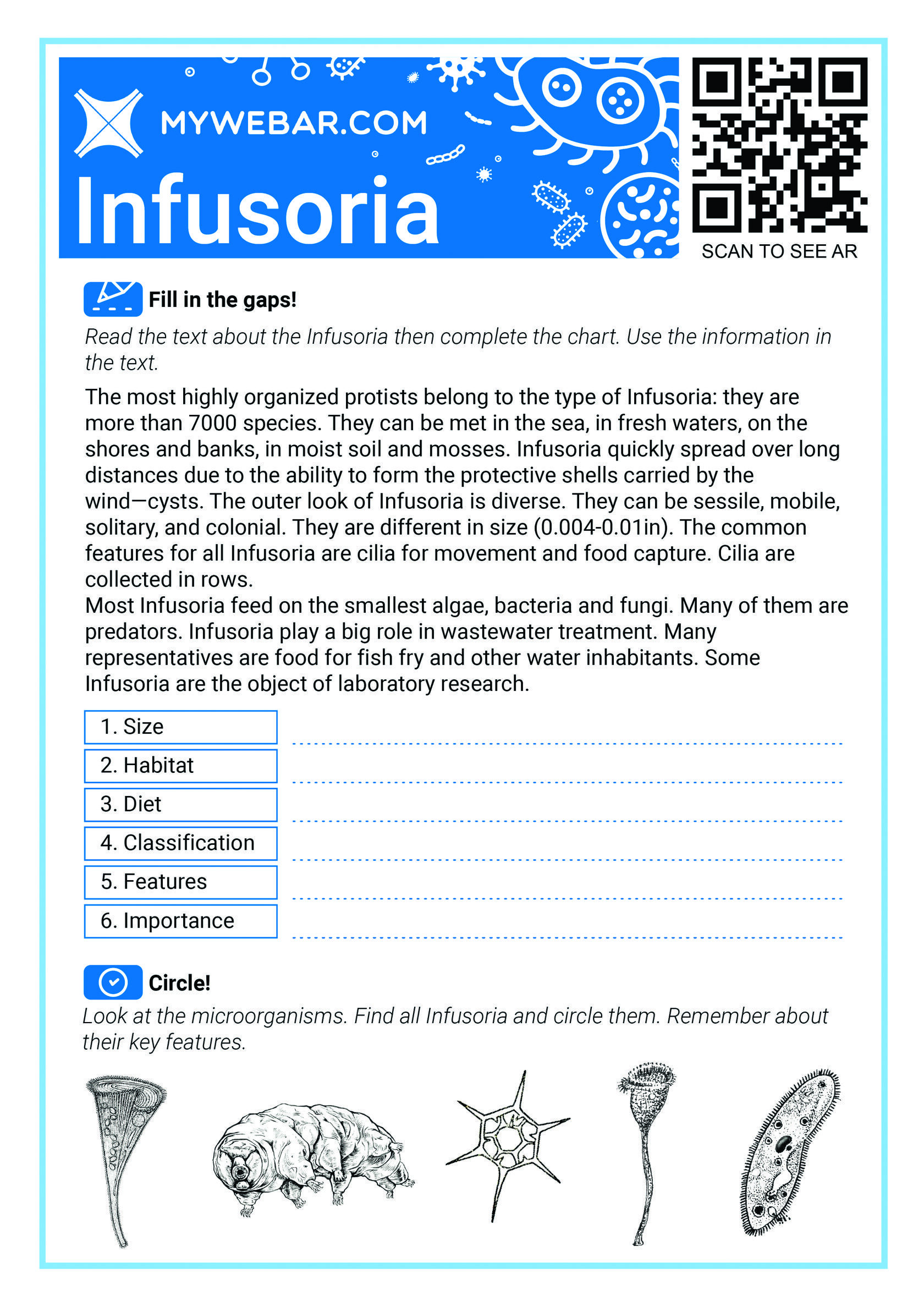 Infusorium